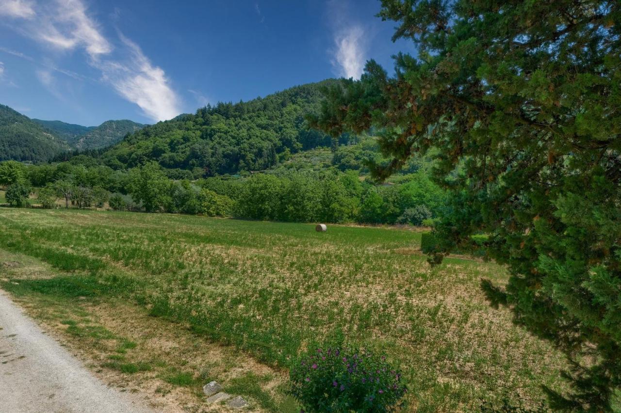 B&B - L'aia dì Trippa all'Aria Borgo San Lorenzo Esterno foto