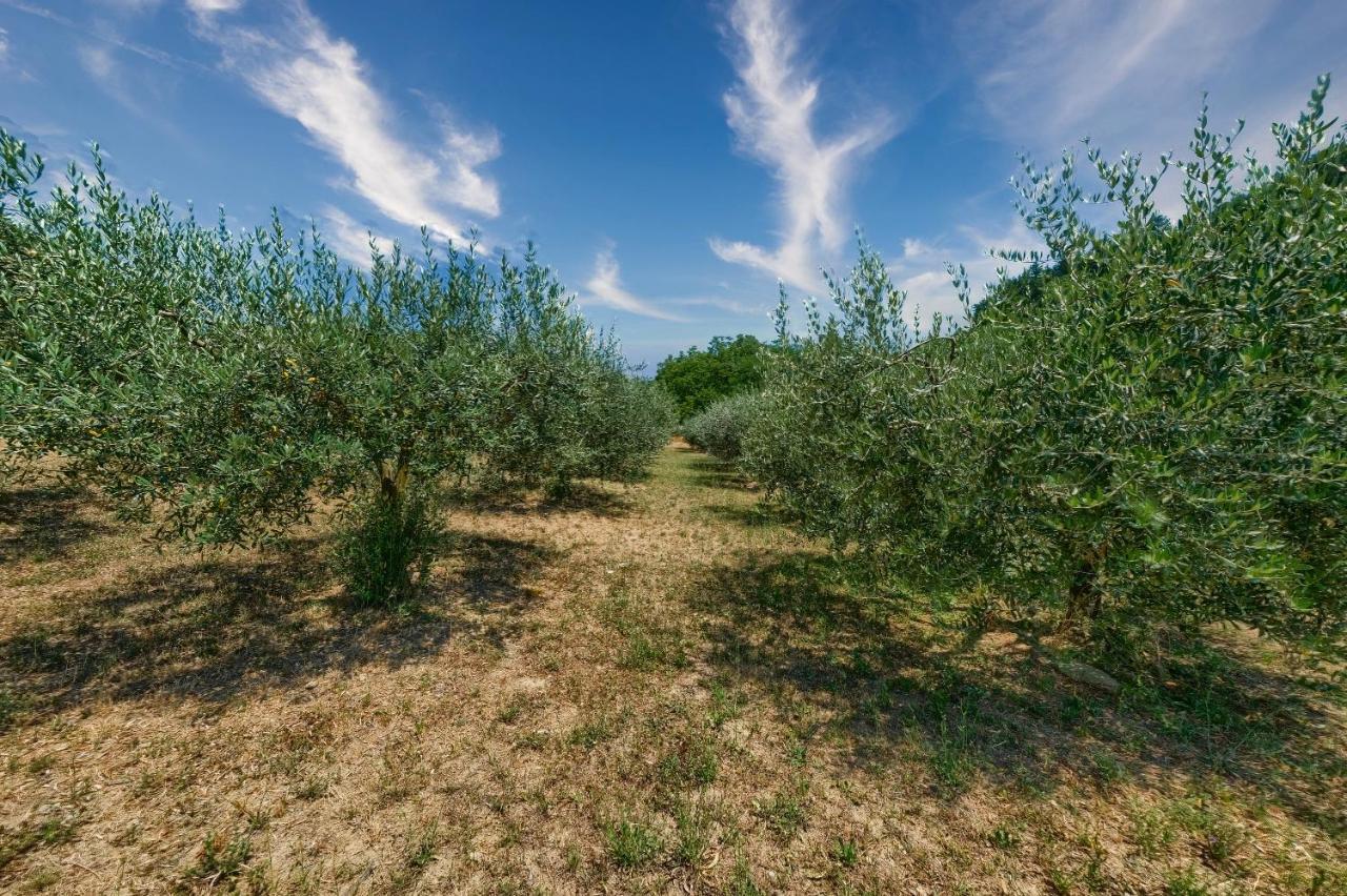 B&B - L'aia dì Trippa all'Aria Borgo San Lorenzo Esterno foto